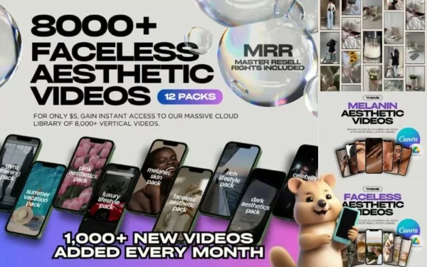 8,000 Faceless Aesthetic Video Reels