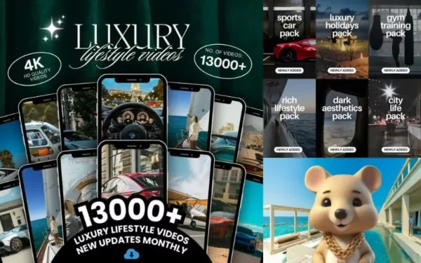 13,000 Luxury Video Reels